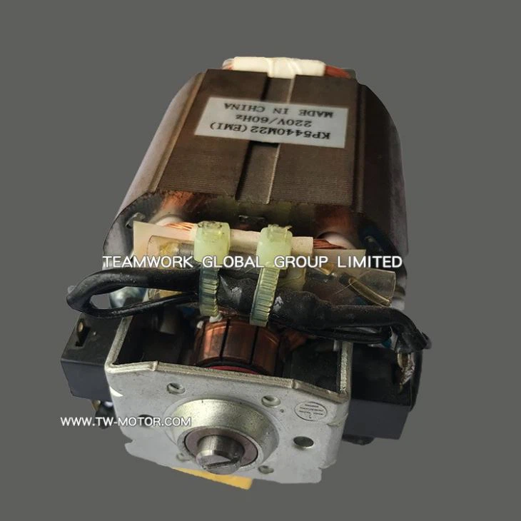Grinding AC Series Motor