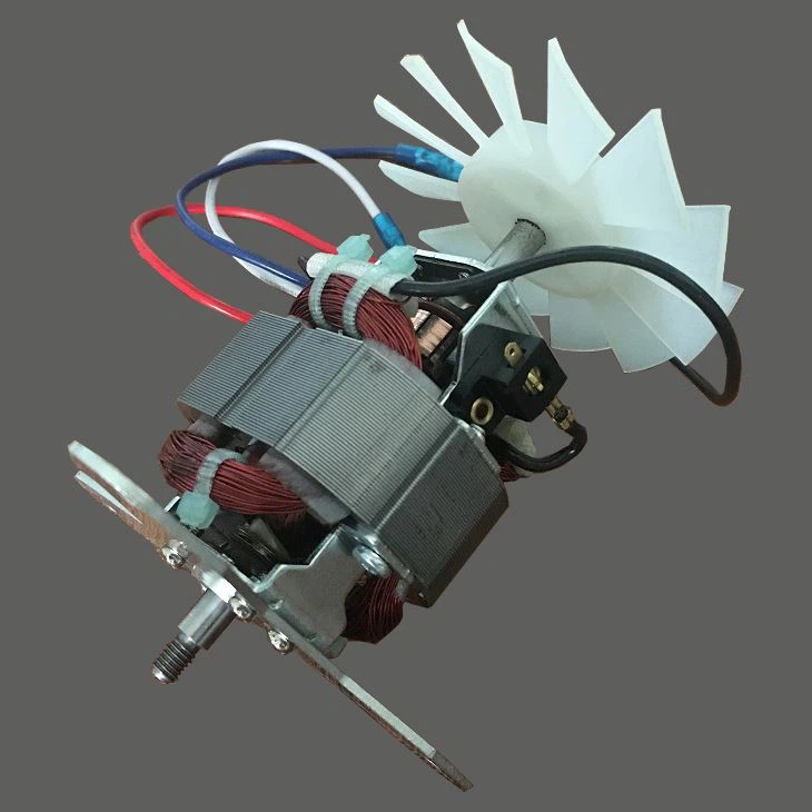 Motor de la batedora de sucs de baixa tensió