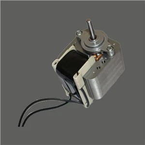 Petit motor de la bomba d'oli