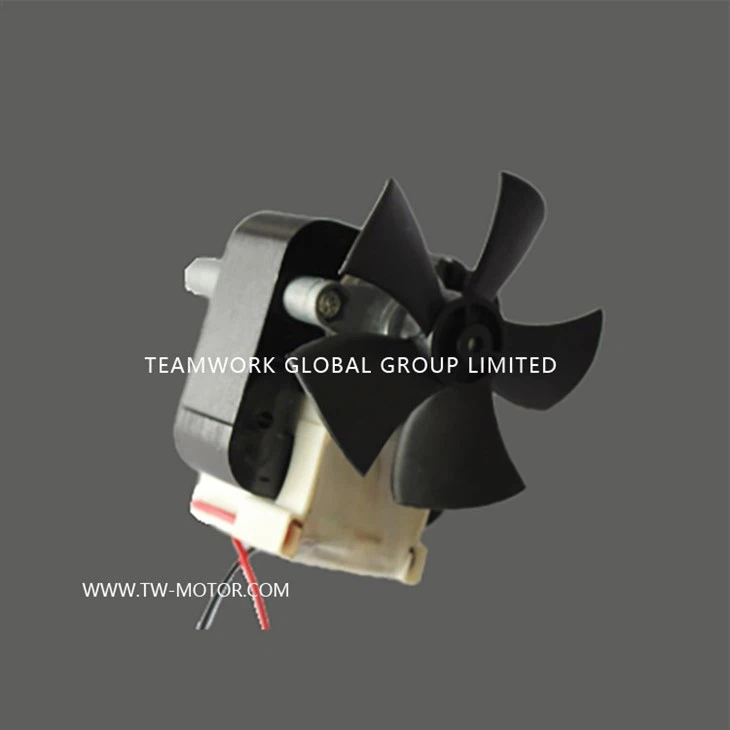 Window Exhaust Fan Motor